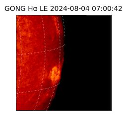 gong - 2024-08-04T07:00:42