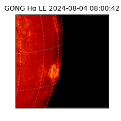 gong - 2024-08-04T08:00:42