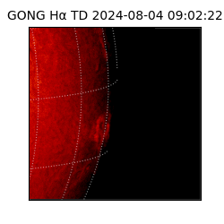 gong - 2024-08-04T09:02:22