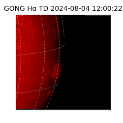 gong - 2024-08-04T12:00:22