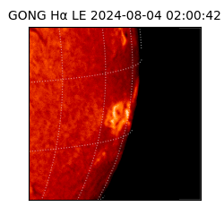 gong - 2024-08-04T02:00:42