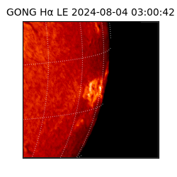 gong - 2024-08-04T03:00:42