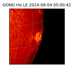 gong - 2024-08-04T05:00:42