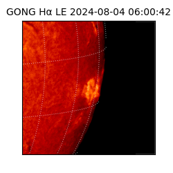 gong - 2024-08-04T06:00:42