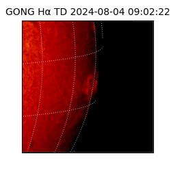 gong - 2024-08-04T09:02:22