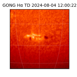 gong - 2024-08-04T12:00:22