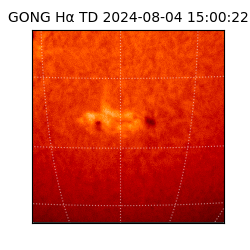 gong - 2024-08-04T15:00:22