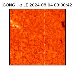 gong - 2024-08-04T03:00:42