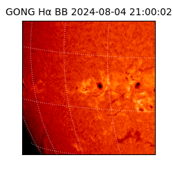 gong - 2024-08-04T21:00:02