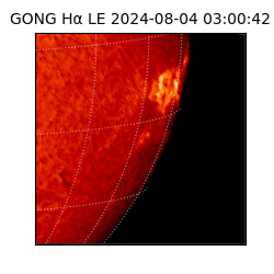 gong - 2024-08-04T03:00:42