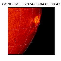 gong - 2024-08-04T05:00:42