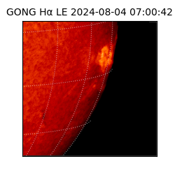 gong - 2024-08-04T07:00:42