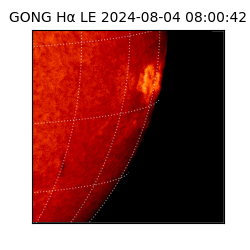 gong - 2024-08-04T08:00:42