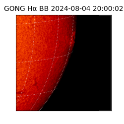 gong - 2024-08-04T20:00:02