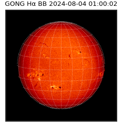 gong - 2024-08-04T01:00:02