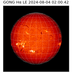 gong - 2024-08-04T02:00:42