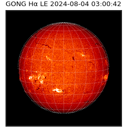 gong - 2024-08-04T03:00:42