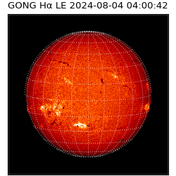 gong - 2024-08-04T04:00:42