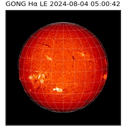 gong - 2024-08-04T05:00:42