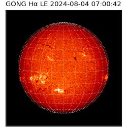 gong - 2024-08-04T07:00:42