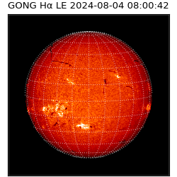 gong - 2024-08-04T08:00:42