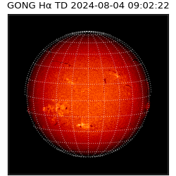 gong - 2024-08-04T09:02:22