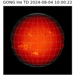 gong - 2024-08-04T10:00:22