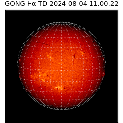 gong - 2024-08-04T11:00:22