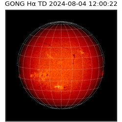 gong - 2024-08-04T12:00:22