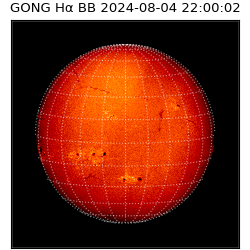 gong - 2024-08-04T22:00:02