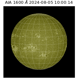 saia - 2024-08-05T10:00:14.126000