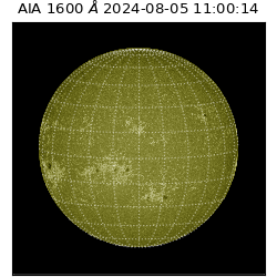 saia - 2024-08-05T11:00:14.129000