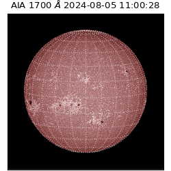 saia - 2024-08-05T11:00:28.718000