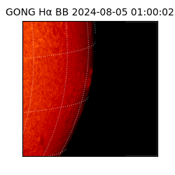 gong - 2024-08-05T01:00:02