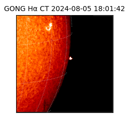 gong - 2024-08-05T18:01:42