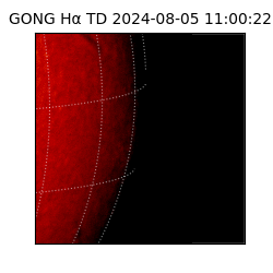 gong - 2024-08-05T11:00:22