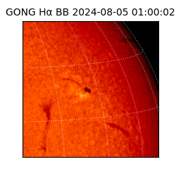 gong - 2024-08-05T01:00:02