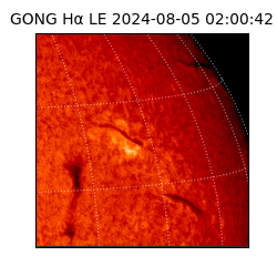 gong - 2024-08-05T02:00:42