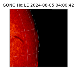 gong - 2024-08-05T04:00:42