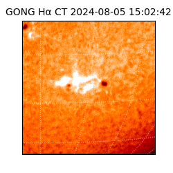 gong - 2024-08-05T15:02:42