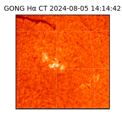 gong - 2024-08-05T14:14:42