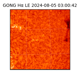 gong - 2024-08-05T03:00:42