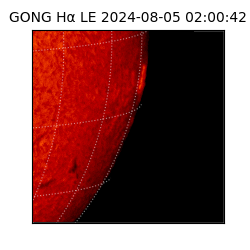 gong - 2024-08-05T02:00:42