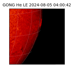 gong - 2024-08-05T04:00:42