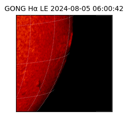 gong - 2024-08-05T06:00:42