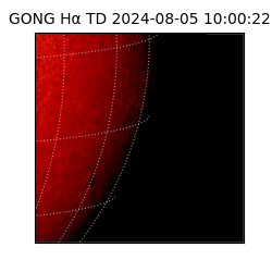 gong - 2024-08-05T10:00:22