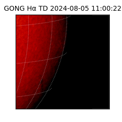 gong - 2024-08-05T11:00:22