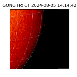 gong - 2024-08-05T14:14:42