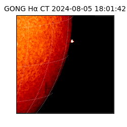 gong - 2024-08-05T18:01:42