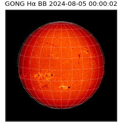 gong - 2024-08-05T00:00:02